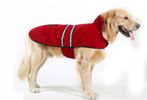 dogjacket